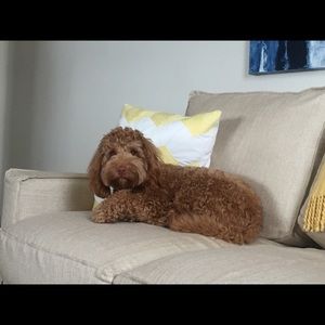 Meet your Posher, Andrea